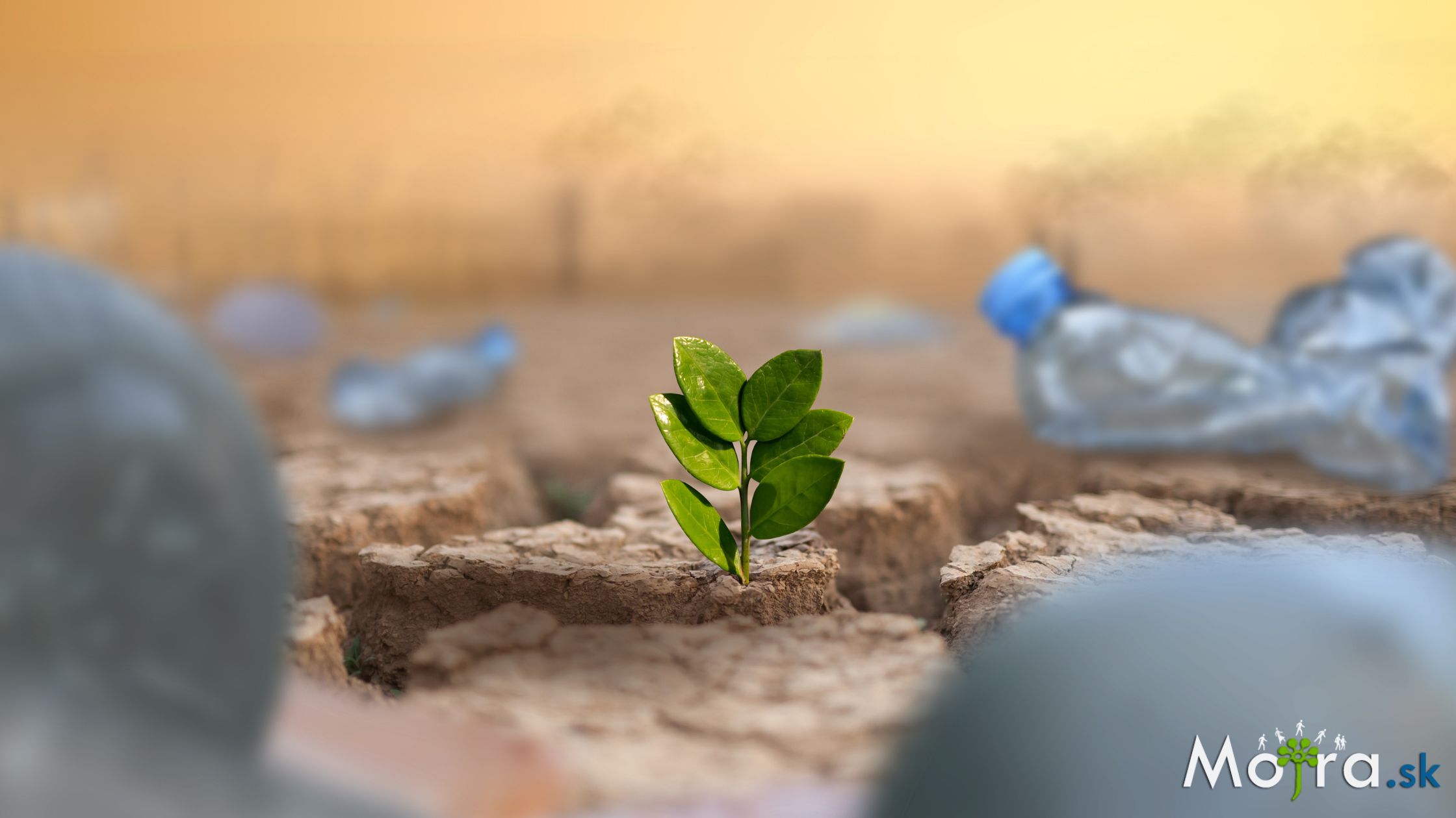 Green stress: Úzkosť z klimatickej krízy a ako o nej doma hovoriť?